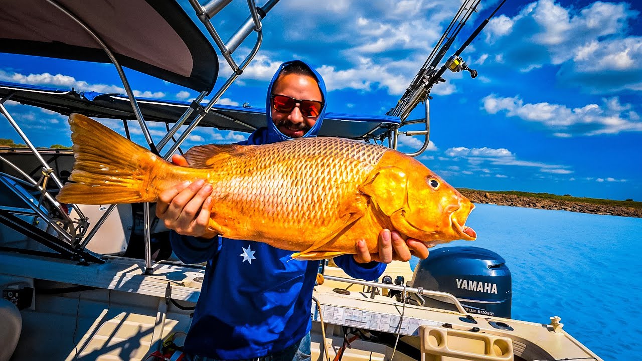 The Most Insane Fishing Trip with Crocs in Darwin the Top End 