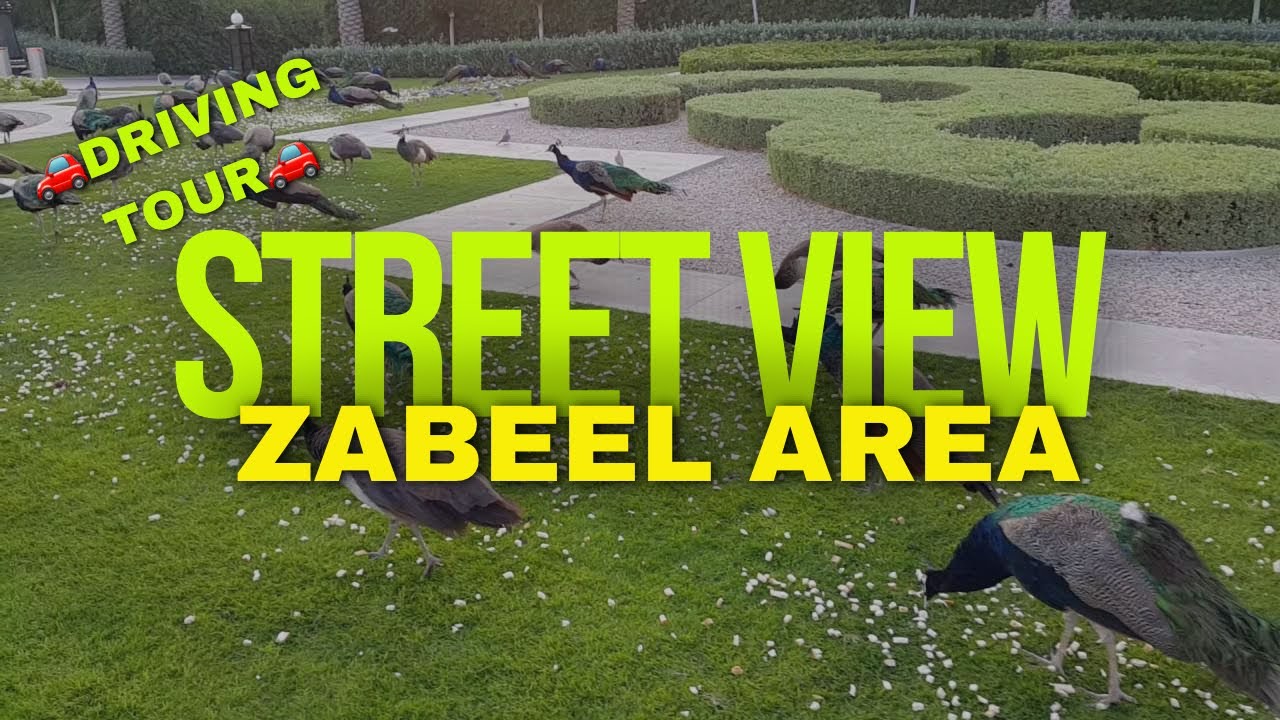 Zabeel Area Street View 2024 | Driving Tour Dubai Zabeel Area | September 2024