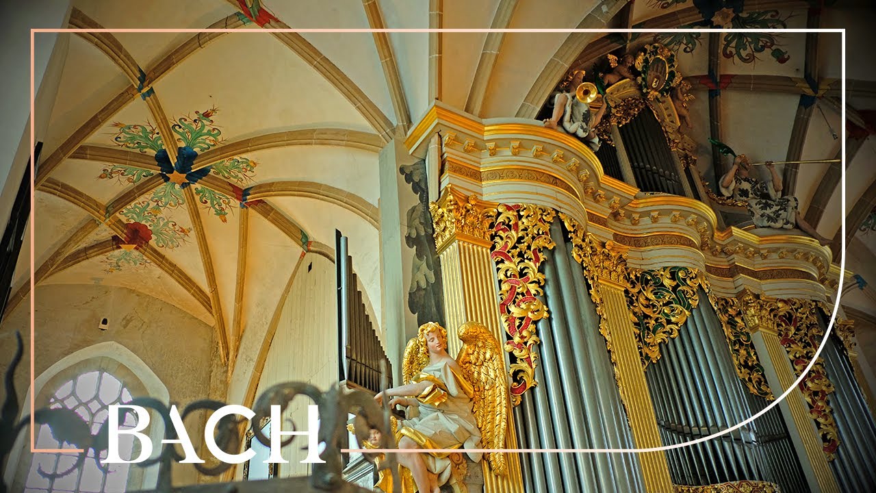 Bach - Kyrie, Gott heiliger Geist BWV 671 - Van Doeselaar | Netherlands Bach Society