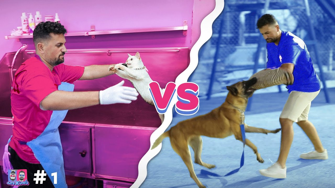 رأيين بوجه |  واجهنا اشرس الكلاب والقطط ❗