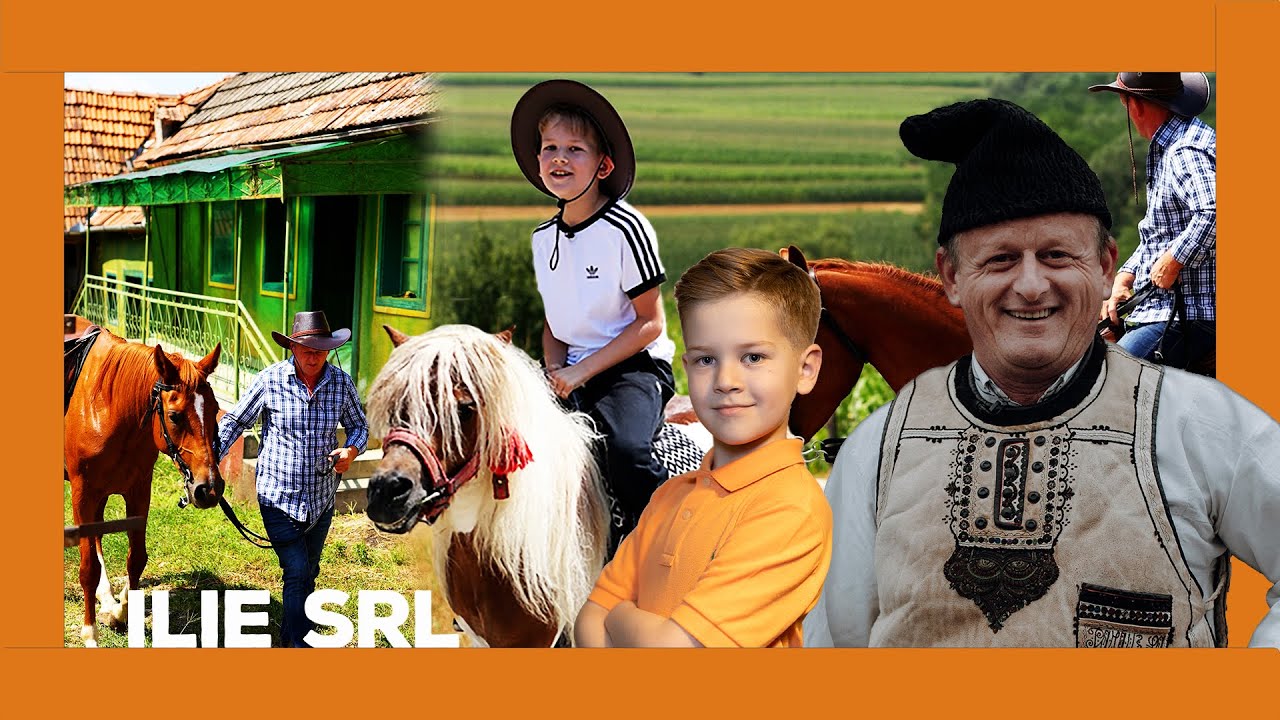 Ilie are cal 🐎de weekend, poneiul🐴 lui Pericol nu crește nici cu vitamine 💊 #iliesrl