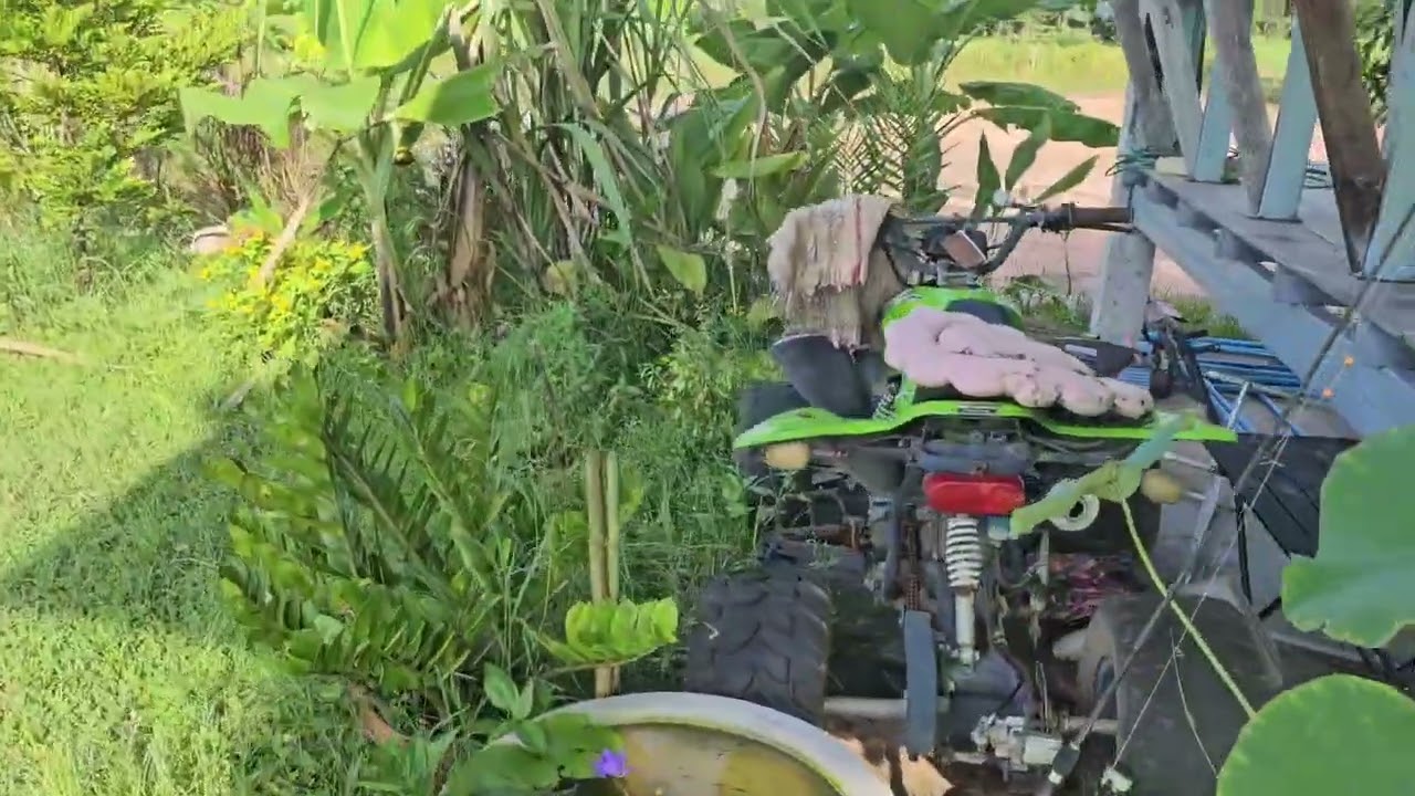 Ep.7 อัพเดทสระน้ำรูปวงกลม 6ปีผ่านไป เป็นยังไงบ้าง #บ่อน้ำวงกลม #jirajira #PJFARM 