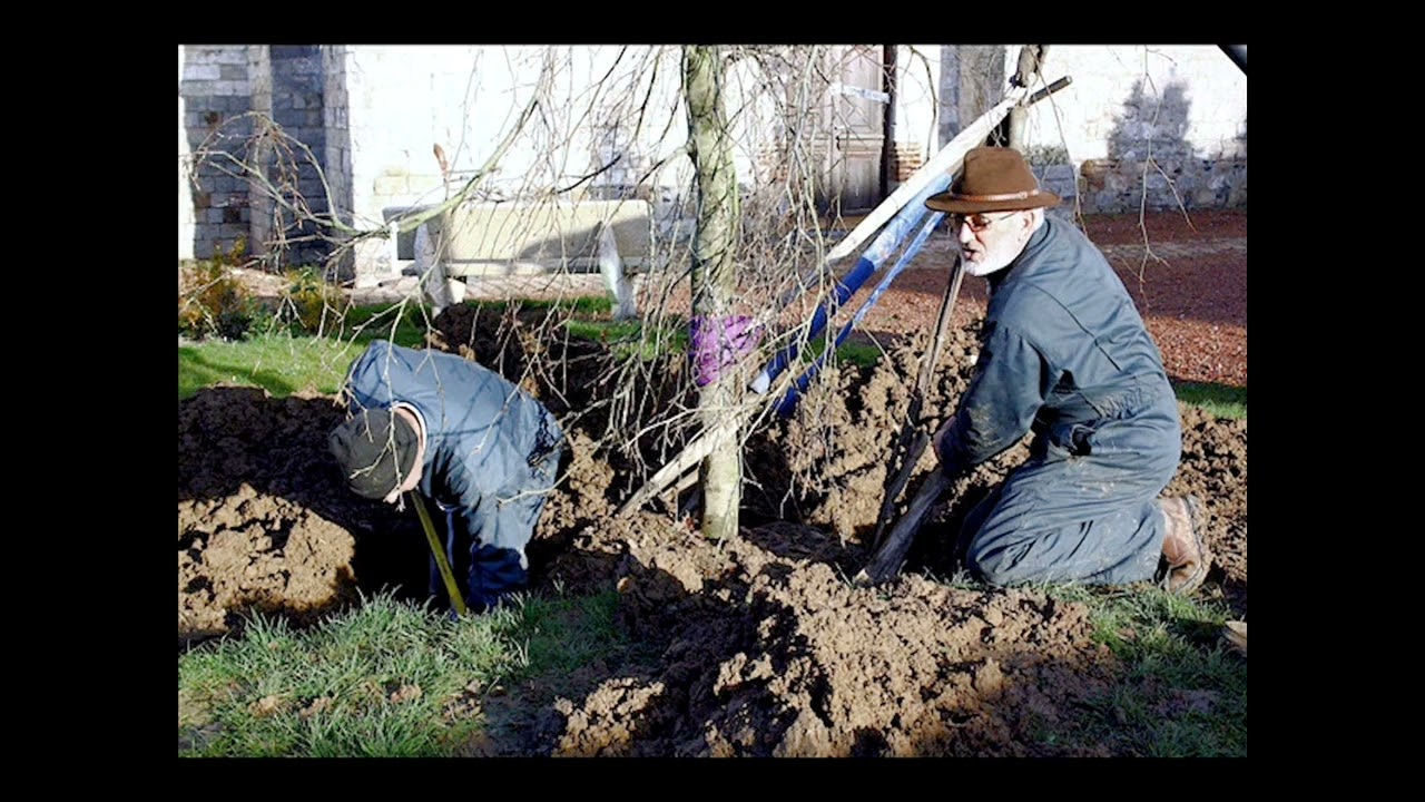 Avesnes le Cte 2009, plantation arbre