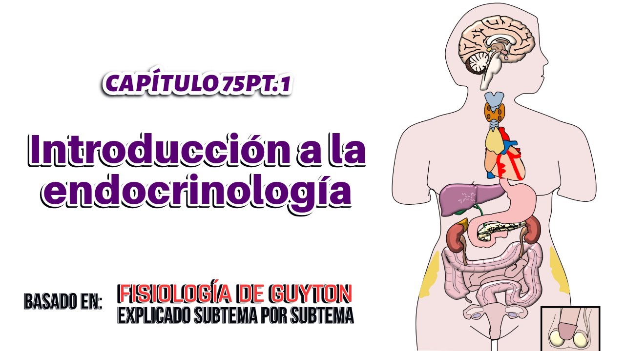 CAP 75 (1): Introducción a la endocrinología