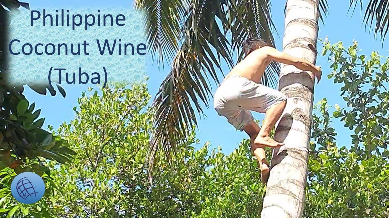 Tuba - Filipino Coconut Wine