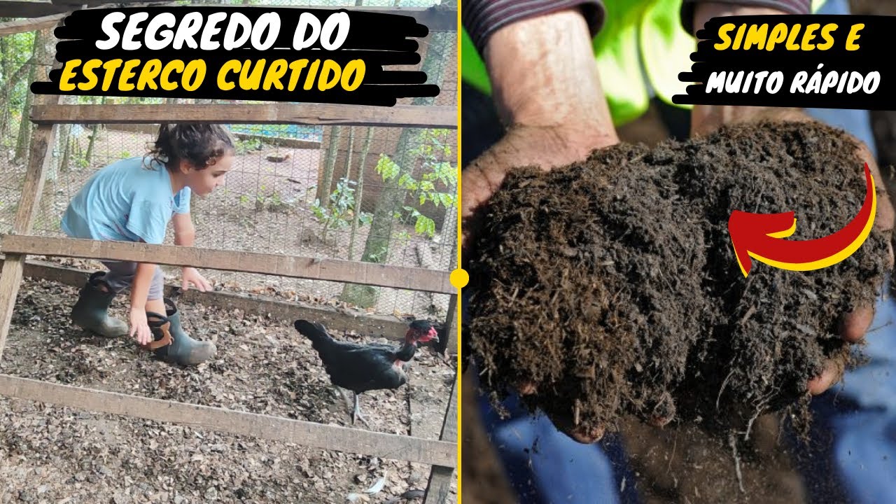 👉✅COMO CURTIR ESTERCO *Novidade