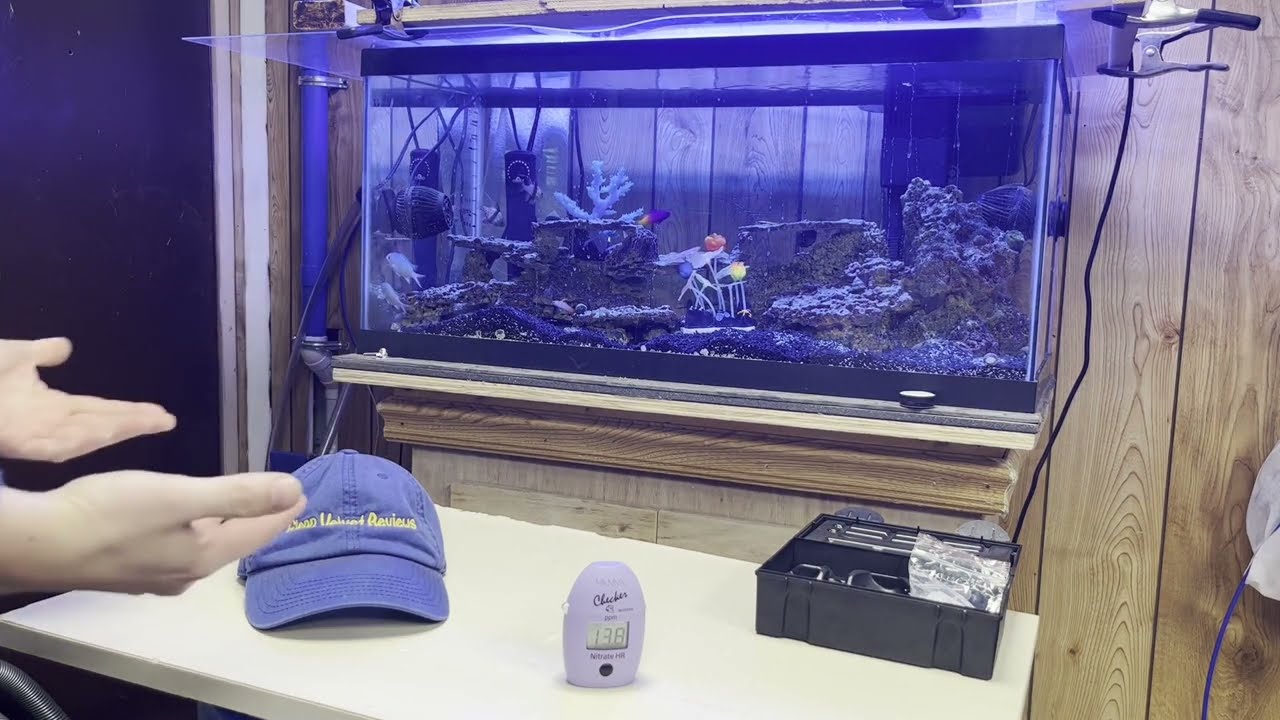 40 Gallon Breeder Saltwater Aquarium Update, Using Hanna HI782 After Water Changes