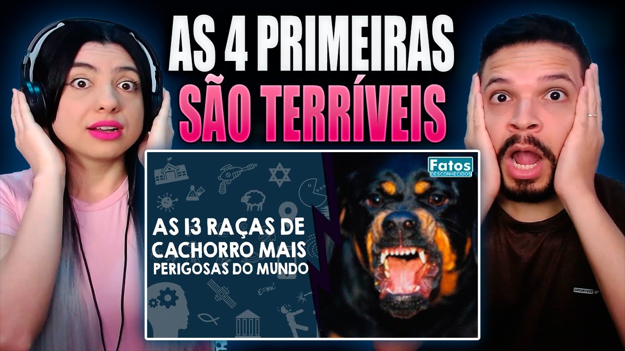 As 13 raças de cachorro mais perigosas do mundo | Fatos Desconhecidos (REACT)