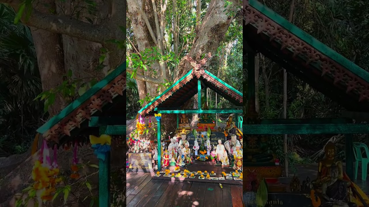พามามูขอพร ปู่ศรีสุทโธ ย่าศรีปทุมมา เจิมวัตถุมงคลเศรษฐีนาคราช วังคำชะโนด อ.บ้านดุง จ.อุดรธานี 