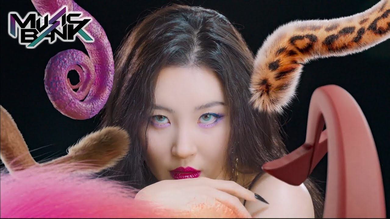 SUNMI(선미) - TAIL(꼬리) (Music Bank) | KBS WORLD TV 210226