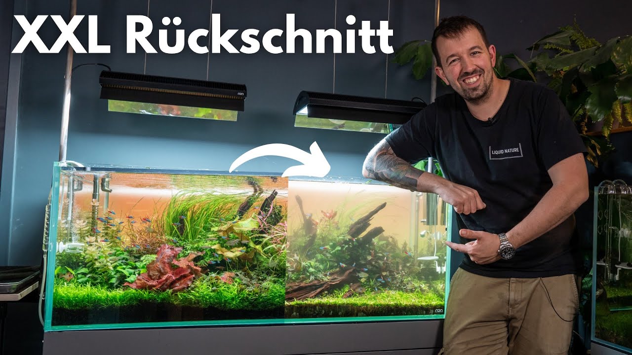 XXL Aquarium Pflege! Rückschnitt im ADA 120P!
