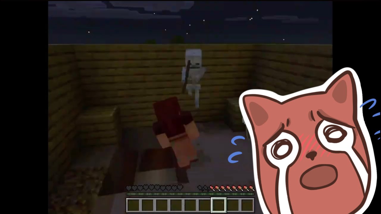 My Minecraft DISASTER – Part 2