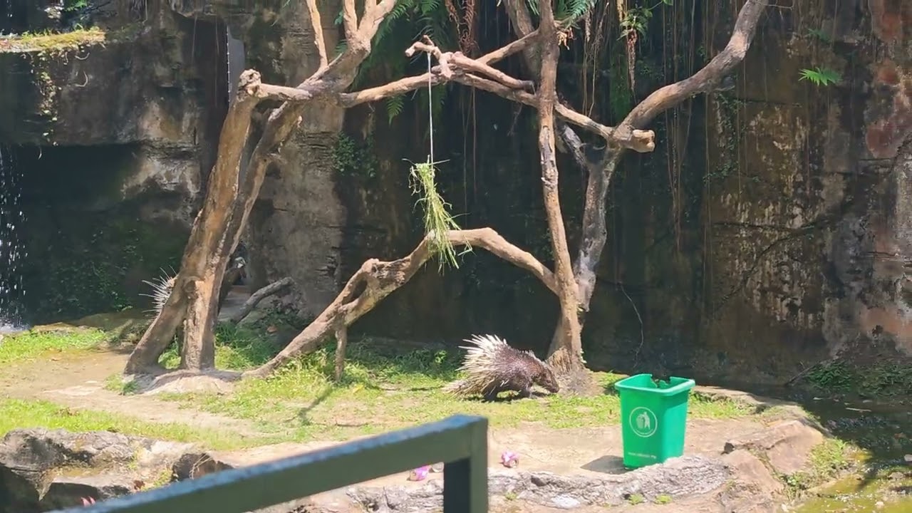 Animals show @ Zoo Melaka