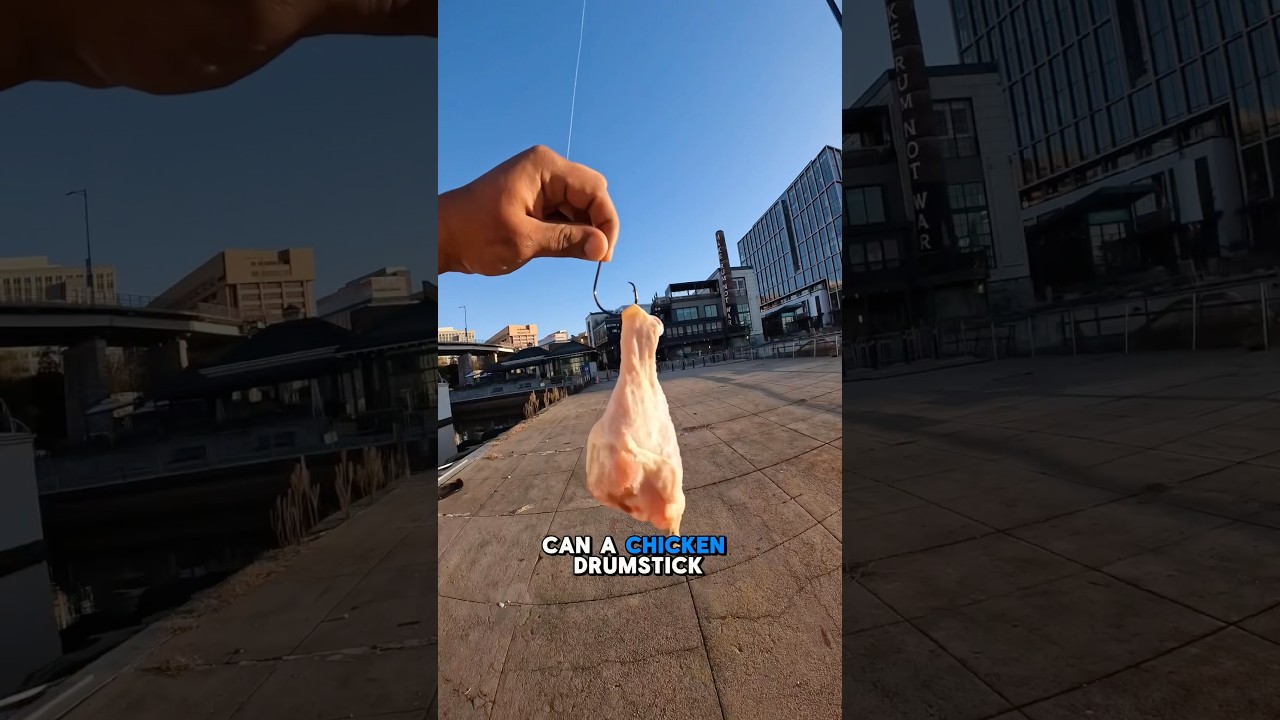 Can a BIG Drumstick Catch a GIANT Fish?