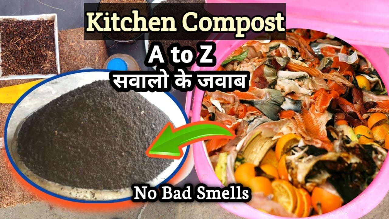 सब पौधों की एक खाद, Top Secret Free Organic Homemade Fertilizer, Grow plants 100 times faster