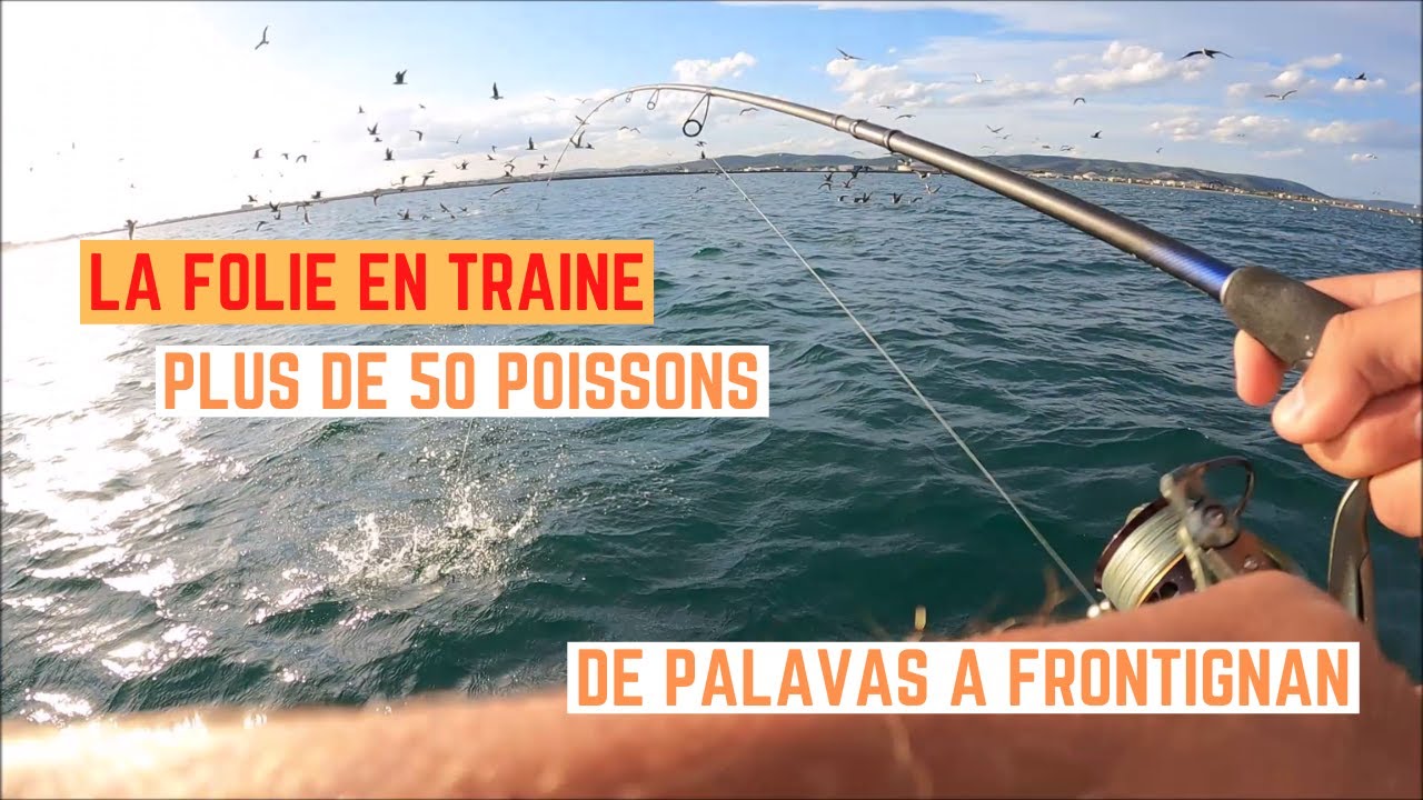 TRAÎNE de FRONTIGNAN à PALAVAS, plus de 50 POISSONS !!