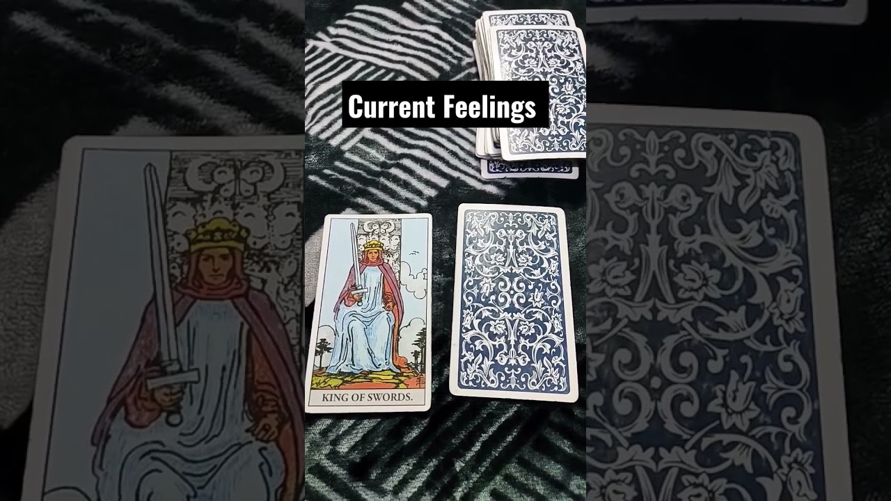 Current Feelings your person #Pick a card reading #hindicardreading #timelesstarotreading