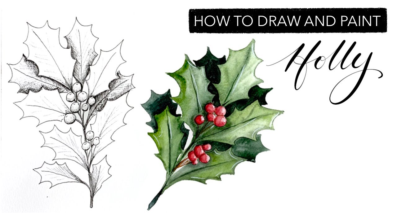 Watercolour Holly - How To Draw And Paint DECEMBER'S Birth Month Flower
