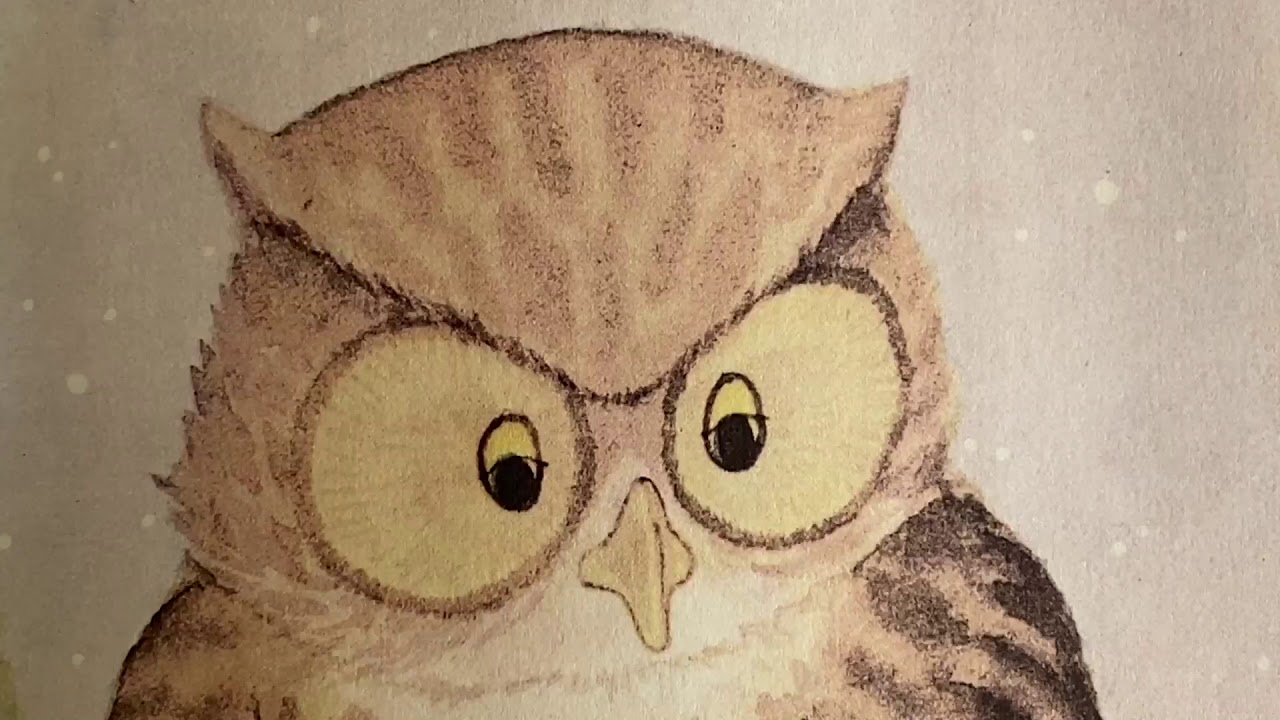 Le favole della Buonanotte - Ep. 12 - Owly