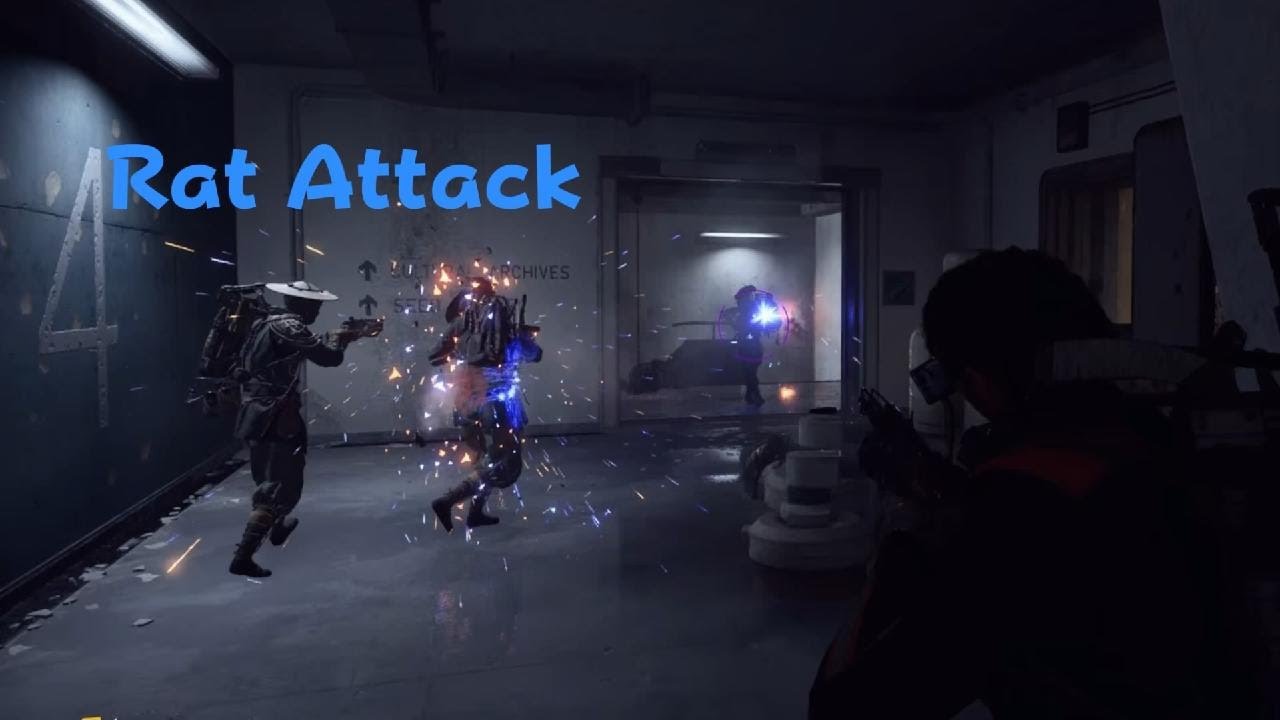Friendly? Rat Attack