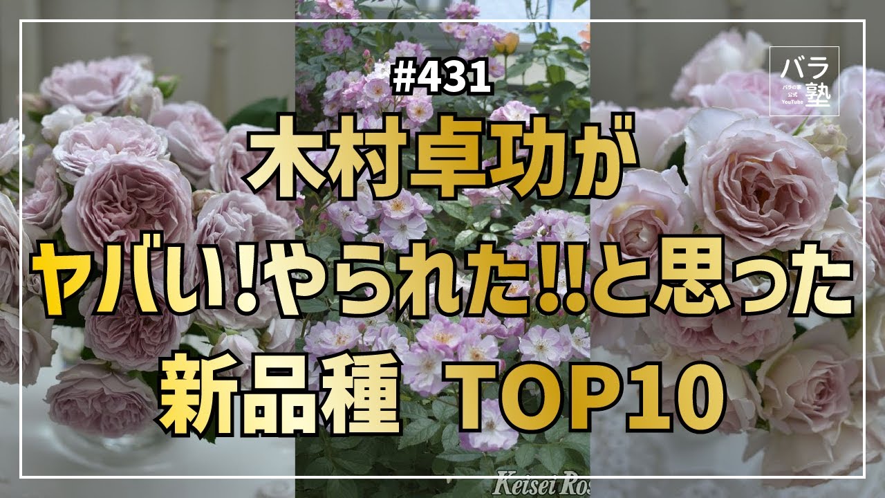 #431木村卓功がヤバい!やられた‼と思った新品種 TOP10