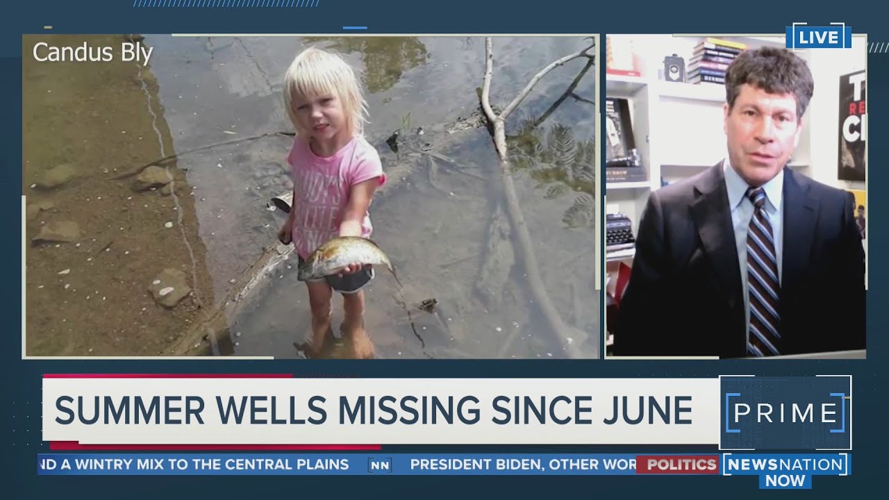 Former prosecutor analyzes Summer Wells disappearance | NewsNation Prime