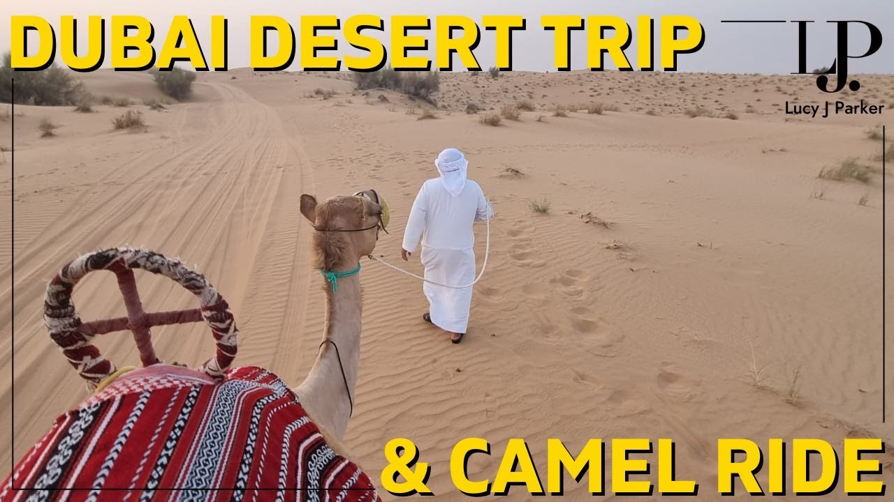 Dubai Desert Trip & Camel Ride