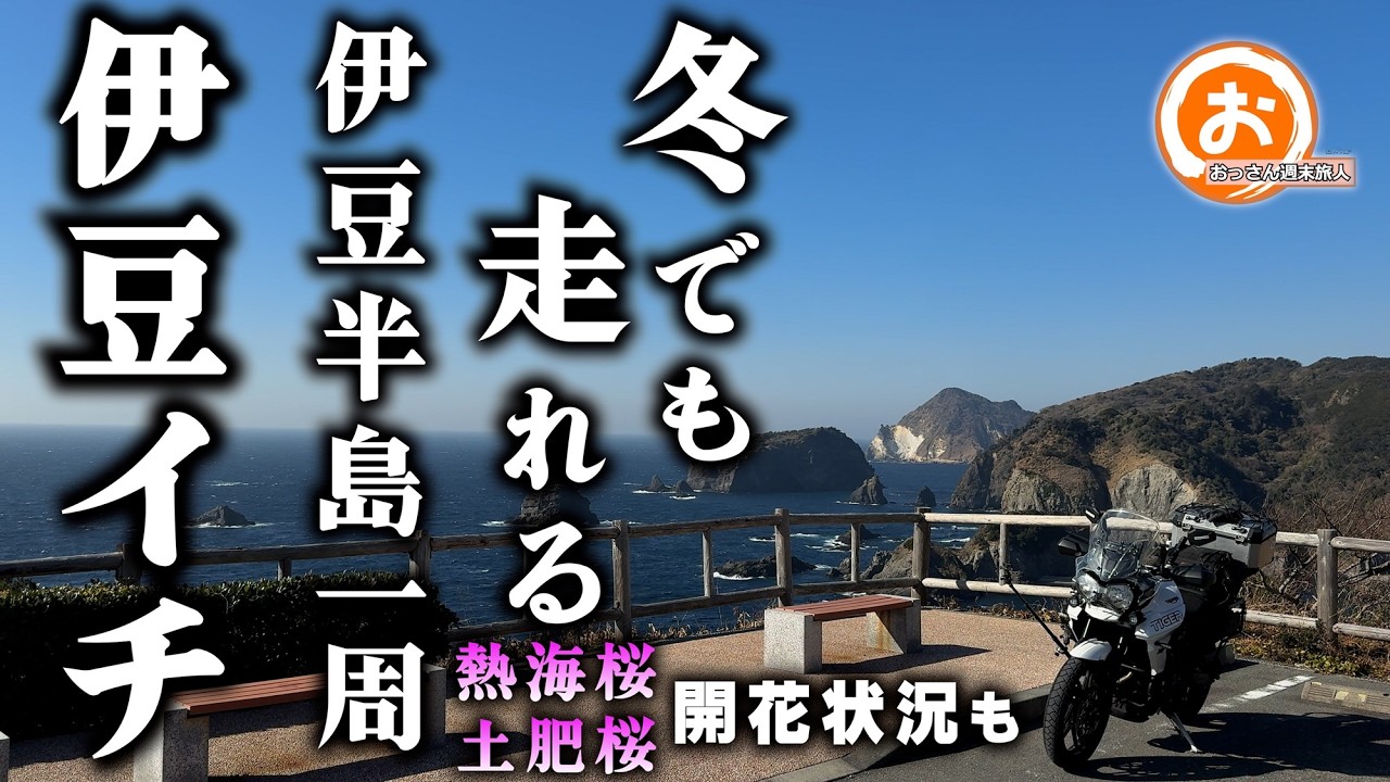 冬でも走れる‼伊豆半島一周‼伊豆イチ。2026熱海桜、土肥桜の開花状況も。50歳辺りを行ったり来たりしている永遠のド素人おっさん週末旅人のツーリング動画
