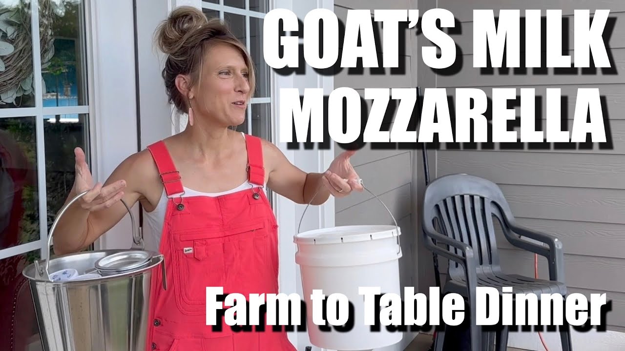 DINNER on the FARM // Making Goat's Milk Mozzarella - QUICK and EASY // Farm to Table meal
