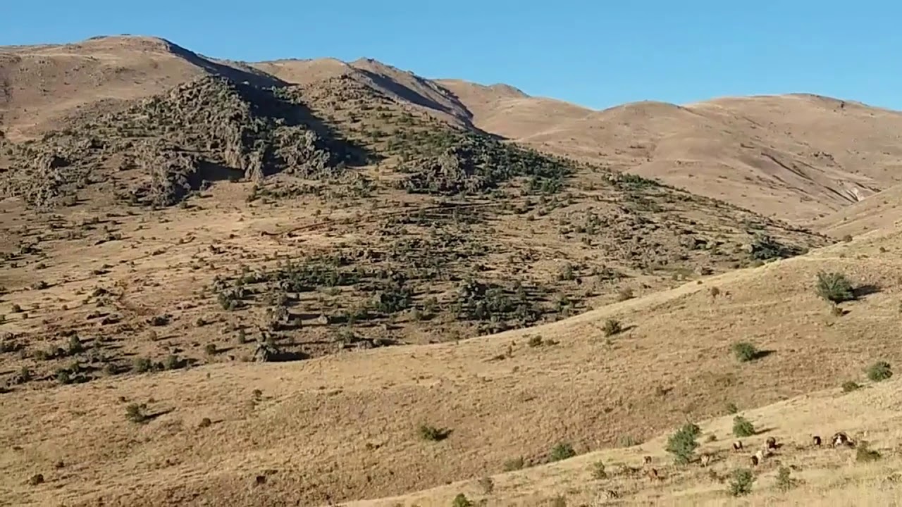 Malatya Hekimhan Yukarı Saz Köyü 2019  -Le Kadare-