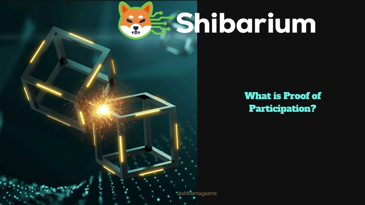 What is Proof of Participation (PoP)?