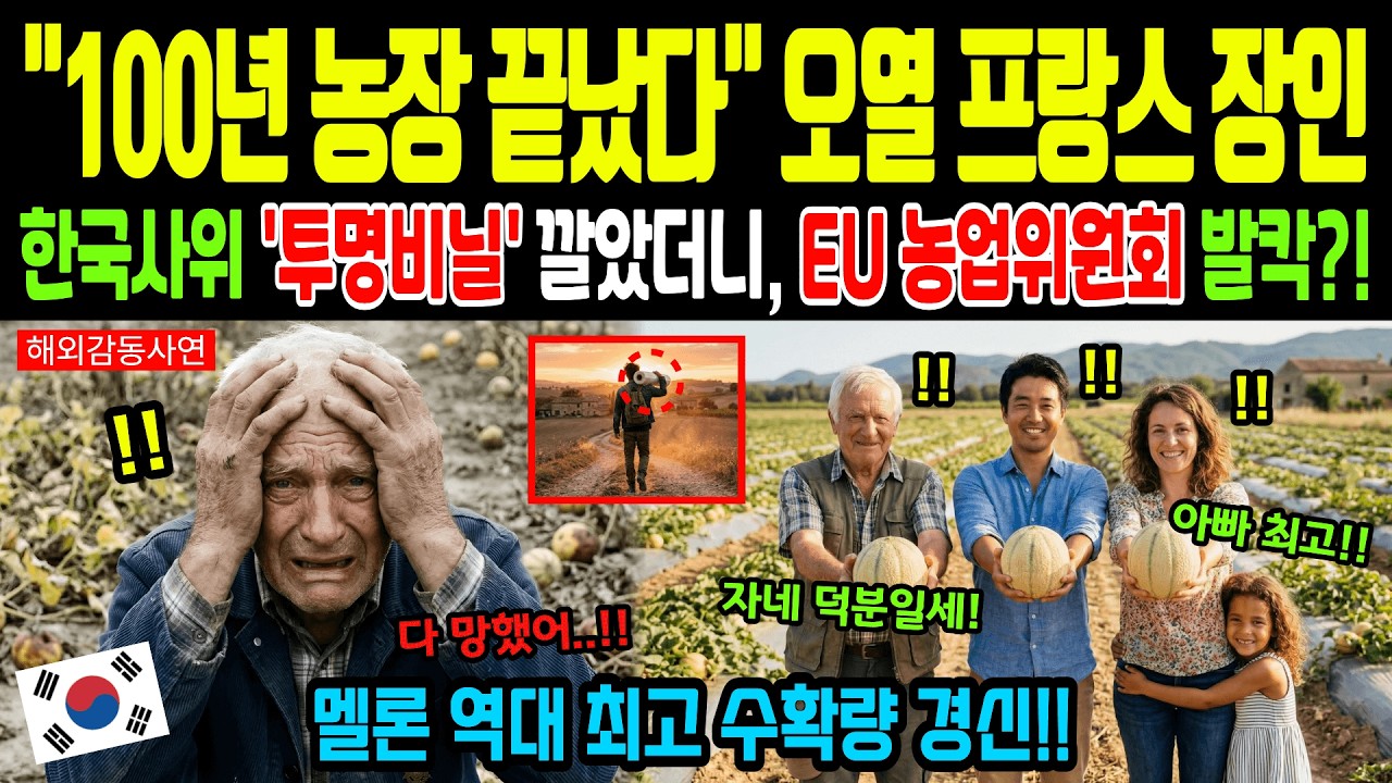 [해외감동사연] 