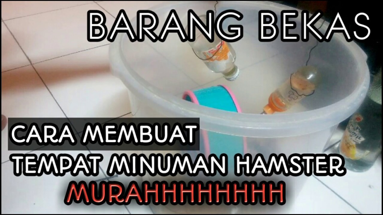 Membuat tempat minumam hamster dari botol bekas #hamstervlog