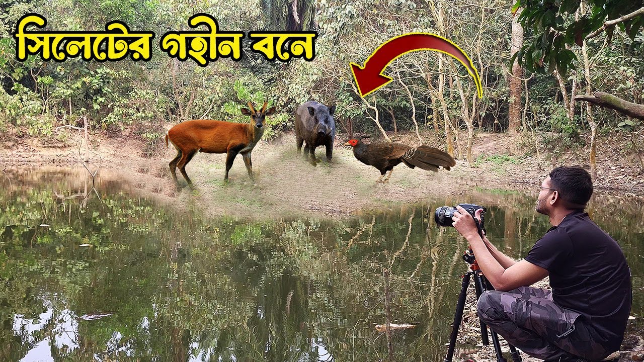 জঙ্গলের গভীরে এই পুকুরে সন্ধ্যা অবধি অপেক্ষা করে এসব কি দেখলাম