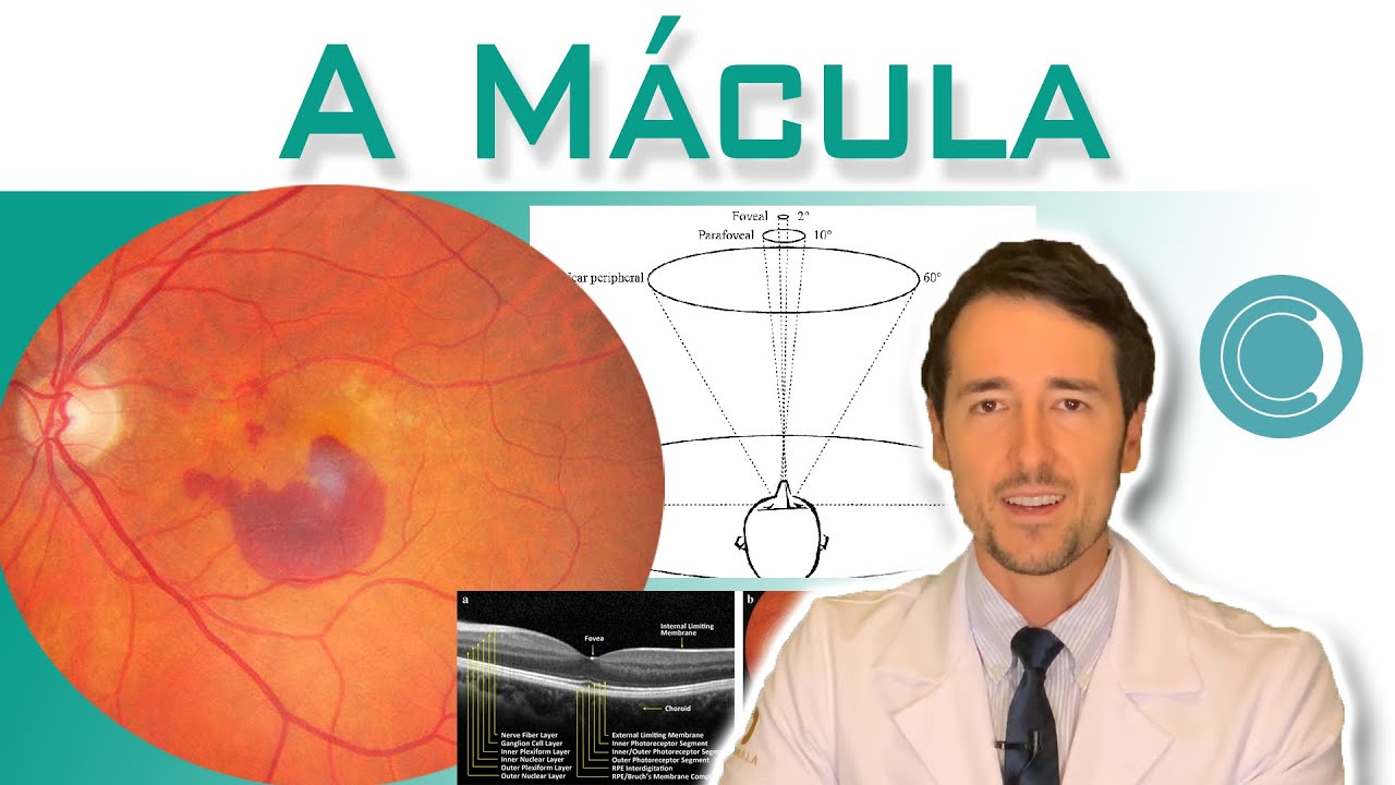 M&aacute;cula - o centro da retina - por que &eacute; t&atilde;o importante?