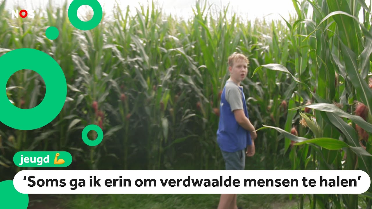 Melle heeft een mega-maïsdoolhof in de tuin