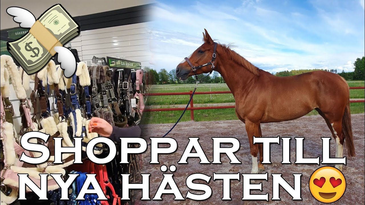 Shoppar till v&aring;r nya h&auml;st och hopptr&auml;nar - Stallvlogg