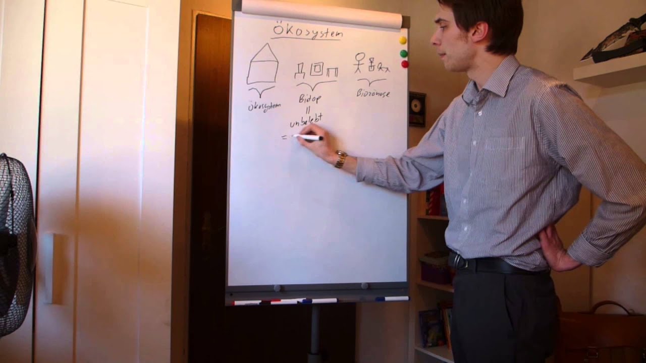 Biologie - Ökosystem, Biotop, Biozönose