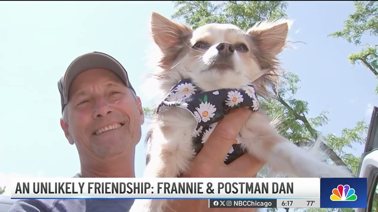 Postman and chihuahua share UNLIKELY BOND over past 3 years ❤️