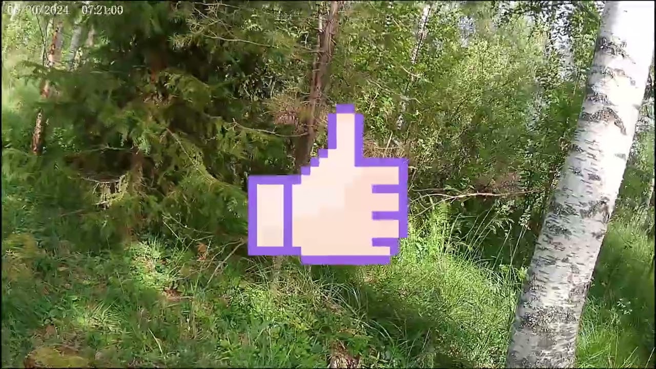 Ajetaan maastossa mönkijällä #2