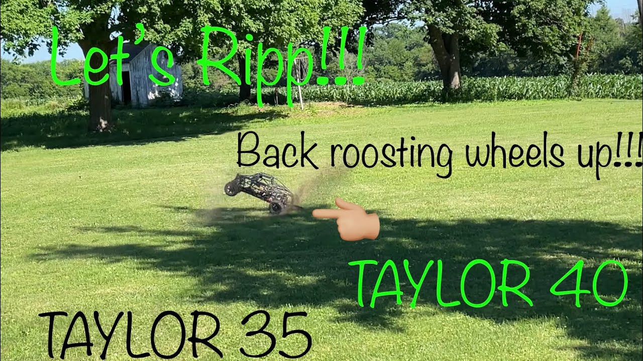 BACK IN ACTION || TAYLOR 35 || TAYLOR 40 || GETTING THE FEELING BACK