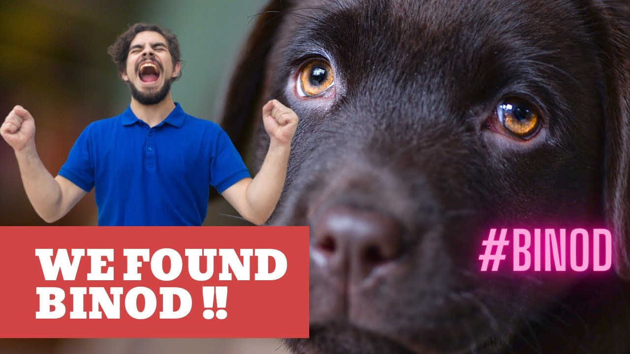 We Found Binod | Answer to who is Binod ? | Binod