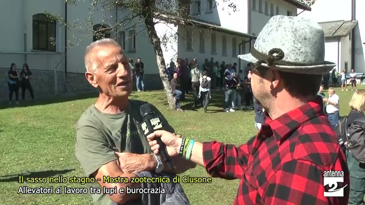 Mostra zootecnica di Clusone: gli allevatori al lavoro tra lupi e burocrazia