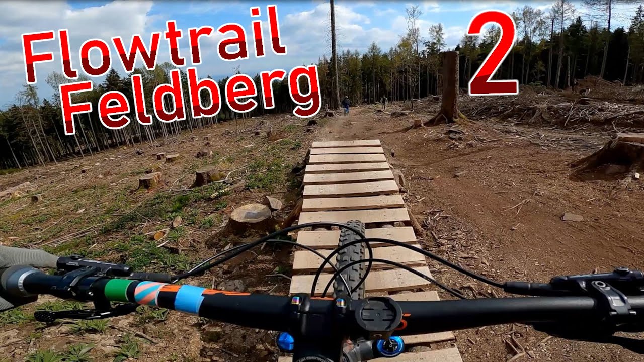 Flowtrail Feldberg 2 - Unterer Teil │ MTB Cobra