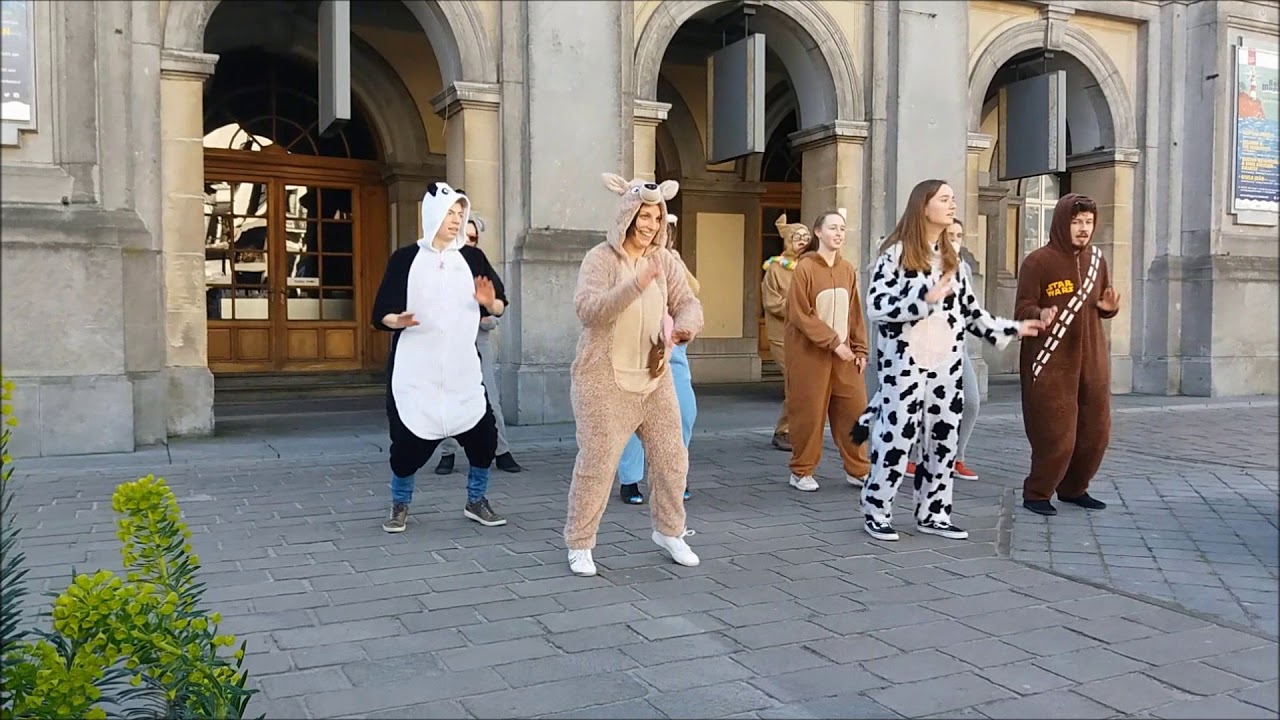 Sofia Kazou Brugge Zomerdans 2017