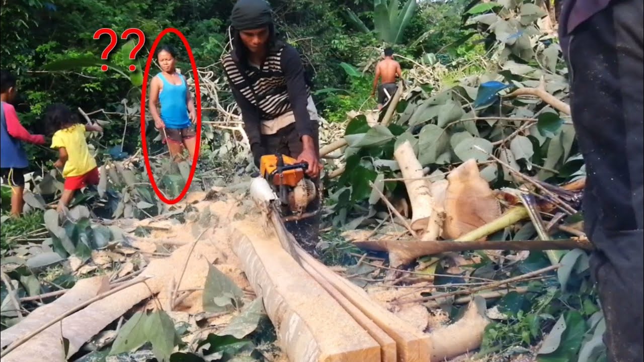 the process of freehand milling chainsaw//using stihl 070// the lumberjacktv