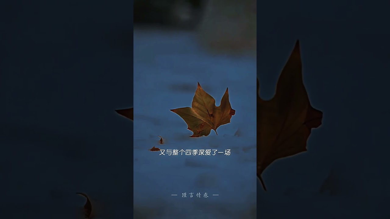 初冬将至顺问冬安 | 11月的渡口，我与新冬久别重逢，一切美好都会如期而至。