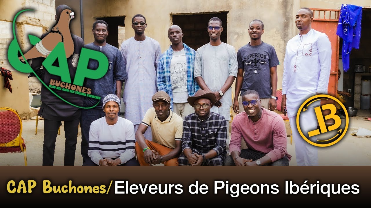 Club des Amis des Pigeons Buchones - CAP BUCHONES - Journée Assemblée Constitutive 22 Décembre 2024