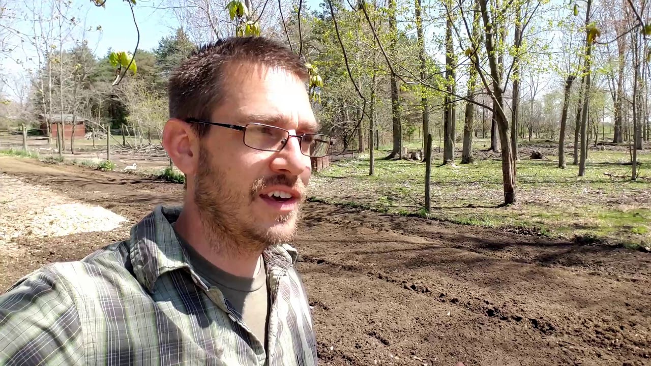 Planting Over 2400 Popcorn Seeds in Under 15 Minutes