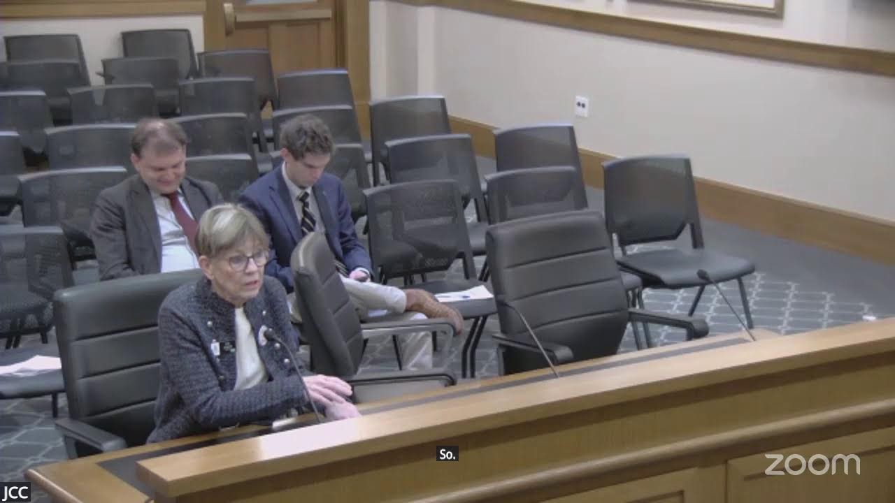 Joint Conference Committee - SF0028, March 5, 2026